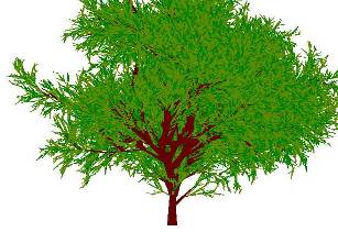 C:\Users\wwe\Desktop\17b9b0a7.jpg