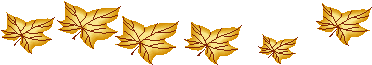Adobe Systems