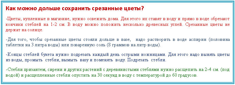�������: