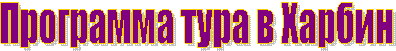 Программа тура в Харбин