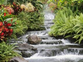 Waterfall.jpg"