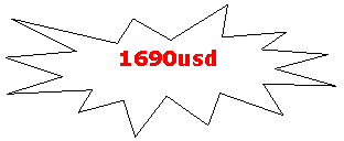 ����� 1: 1690usd



