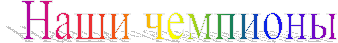 ���� ��������