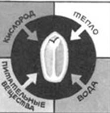 C:\Users\1\Desktop\6.jpg