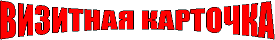 ВИЗИТНАЯ КАРТОЧКА
