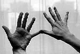hand16-2