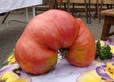 DSC00637.JPG