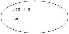 ����: Dog Pig

Cat

Pig



