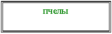 Подпись: пчелы