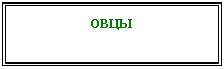 Подпись: овцы