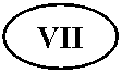 ����: VII