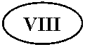 ����: VIII