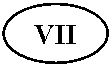 ����: VII