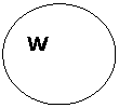 ����: w