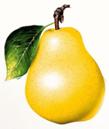 http://*****/puc/5/frukt/CL-15_1.jpg