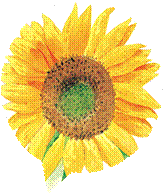http://*****/data/ufiles/4/1/53/45/1534508.Cvety._Akvarel._8c3bfb7ce3a7fd8829.gif