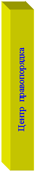 Подпись: Центр правопорядка