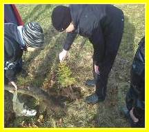 C:\Users\��������\Pictures\��� ����\�����\9 ��� 2012\����1219.jpg