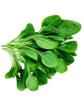 http://*****/imgpreview?key=http%3A//*****/wp-content/uploads/2011/11/SHpinat.jpg&mb=imgdb_preview_932