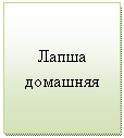 Подпись: Лапша домашняя