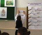 H:\Урок\Изображение 063.jpg