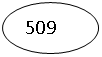 ����: 509