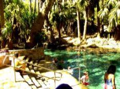 F:\Сайт\В Зарубежные туры\Дроздов\Mataranka Thermal Pool.jpg
