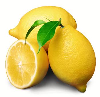 D:\��� ���������\��������\��������\lemon.jpg