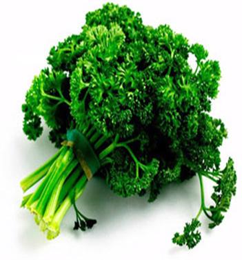 D:\��� ���������\��������\��������\parsley1.jpg