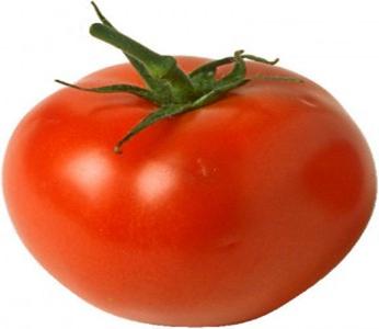 D:\��� ���������\��������\��������\tomato1-288x300.jpg