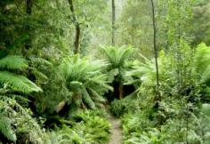 F:\����\� ���������� ����\�������\2t8gs.jpg