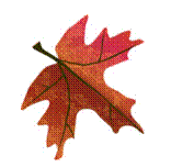 C:\Documents and Settings\Evgeny Shtepin\Desktop\�������2.jpg