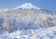 winter_43