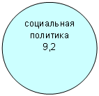 Овал: социальная политика
9,2