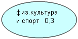 Овал: физ.культура и спорт 0,3