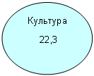 Овал: Культура
22,3
