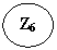 ����: Z6



