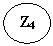 ����: Z4



