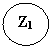 ����: Z1



