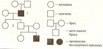 сканирование0028
