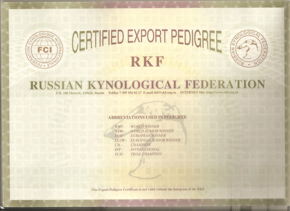 rodoslov.jpg