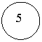 ����: 5