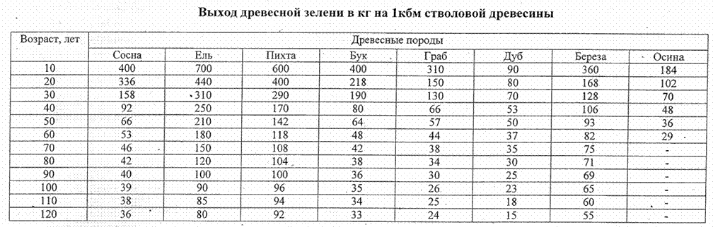 mso124E7