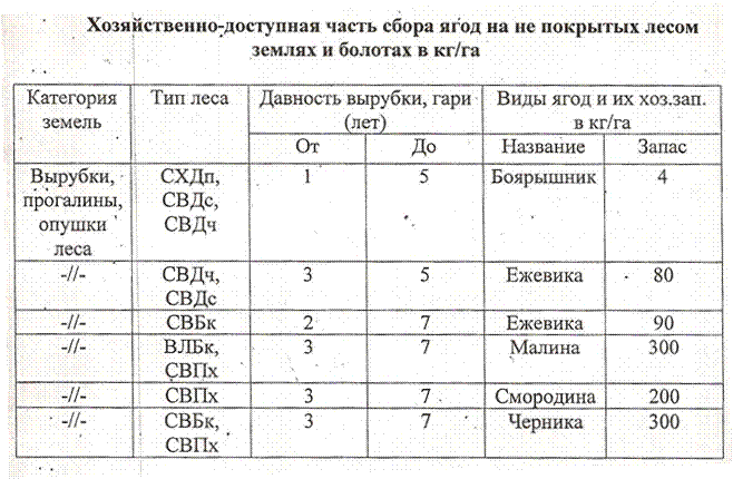 msoC5CA2