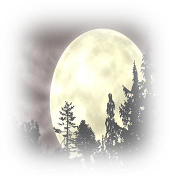 C:\Documents and Settings\Admin\������� ����\_11740.jpg
