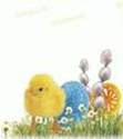 http://t0.gstatic.com/images?q=tbn:ANd9GcRk-B9VvuFS7De5CjYT0K79Ahf9BcPCDS83BtFVjUfikD_1cauG9ifdHw