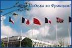 http://t1.gstatic.com/images?q=tbn:ANd9GcTXEDu45WQJ6DtzWyOVpZowcNH42HvxnV2ufN4XCOs5EKHE0tdvV0HWNzk