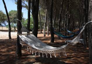 http://www.villaggiosirio.com/gallerie/villaggio/images/villaggio13.jpg