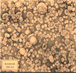 pc_liposome_ns_scientia.jpg