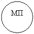 ����: ��